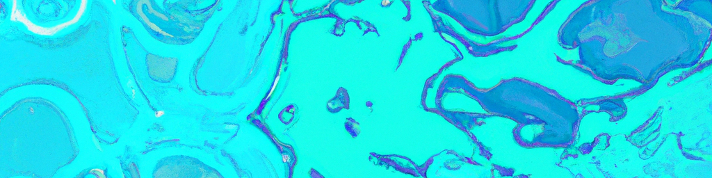 From Initial Concept to Exceptional Delivery: Partnering for Success with h2o Creative Group